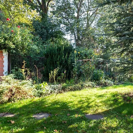 Theo 109 Διαμέρισμα Λειψία